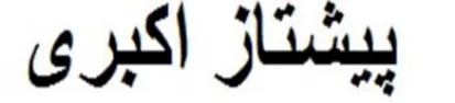 پیشتاز اکبری logo
