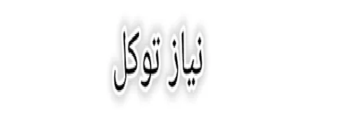 نیاز توکل logo