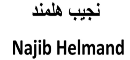 Najib Helmand logo