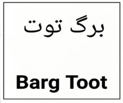 Sys Barg Toot logo